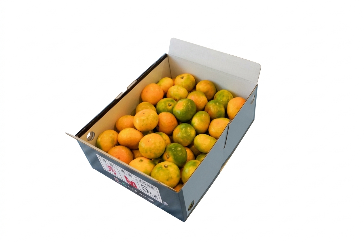 祐徳みかん 約5kg
